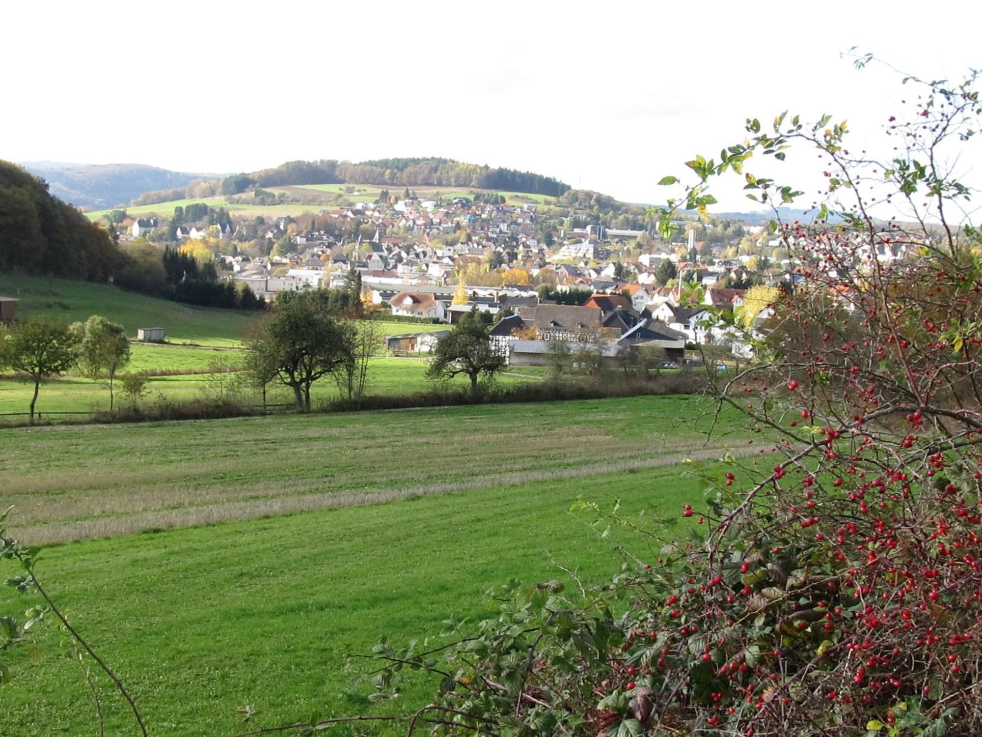 Zum Treppche Hotel Garni Gladenbach エクステリア 写真